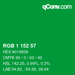 Color code: RGB 1 152 57 | qconv.com