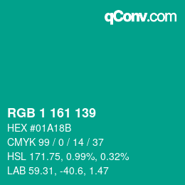 Color code: RGB 1 161 139 | qconv.com