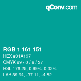 Color code: RGB 1 161 151 | qconv.com