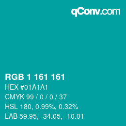 Color code: RGB 1 161 161 | qconv.com