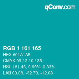 Color code: RGB 1 161 165 | qconv.com