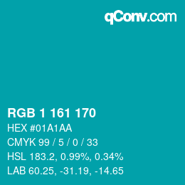 Color code: RGB 1 161 170 | qconv.com