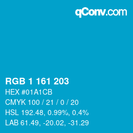 Color code: RGB 1 161 203 | qconv.com
