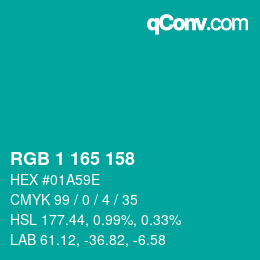 Color code: RGB 1 165 158 | qconv.com