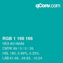 Color code: RGB 1 166 166 | qconv.com