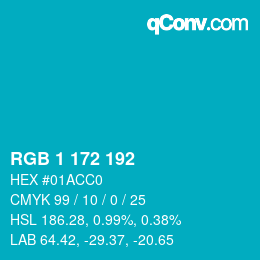 カラーコード: RGB 1 172 192 | qconv.com