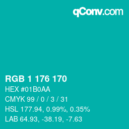 Color code: RGB 1 176 170 | qconv.com