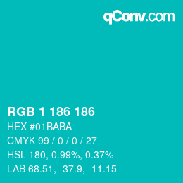 Color code: RGB 1 186 186 | qconv.com