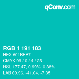 Color code: RGB 1 191 183 | qconv.com