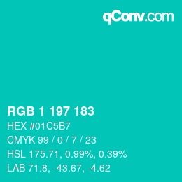 Color code: RGB 1 197 183 | qconv.com