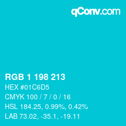 Color code: RGB 1 198 213 | qconv.com
