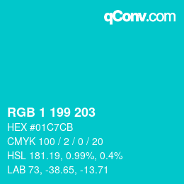 Color code: RGB 1 199 203 | qconv.com