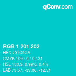 Color code: RGB 1 201 202 | qconv.com