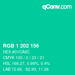 Color code: RGB 1 202 156 | qconv.com