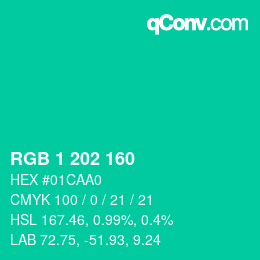 Color code: RGB 1 202 160 | qconv.com
