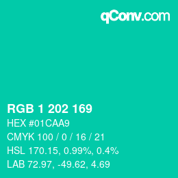 カラーコード: RGB 1 202 169 | qconv.com