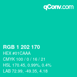 Color code: RGB 1 202 170 | qconv.com
