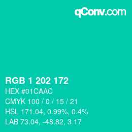 カラーコード: RGB 1 202 172 | qconv.com