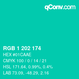 Color code: RGB 1 202 174 | qconv.com