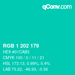 Color code: RGB 1 202 179 | qconv.com