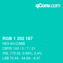 Color code: RGB 1 202 187 | qconv.com