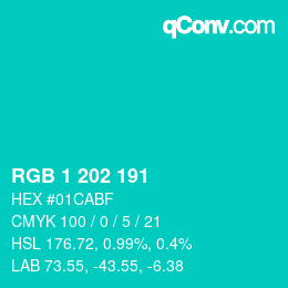 Color code: RGB 1 202 191 | qconv.com