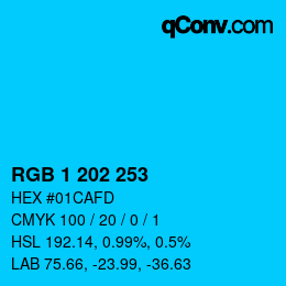 Color code: RGB 1 202 253 | qconv.com