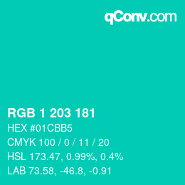 Color code: RGB 1 203 181 | qconv.com