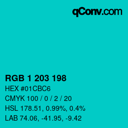 Color code: RGB 1 203 198 | qconv.com