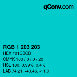 Color code: RGB 1 203 203 | qconv.com