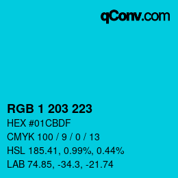 Color code: RGB 1 203 223 | qconv.com