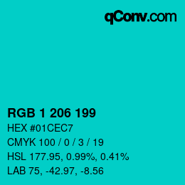 Color code: RGB 1 206 199 | qconv.com