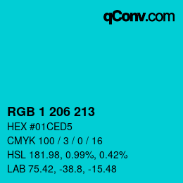 Color code: RGB 1 206 213 | qconv.com