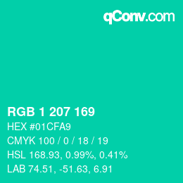 Color code: RGB 1 207 169 | qconv.com