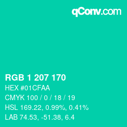 Color code: RGB 1 207 170 | qconv.com