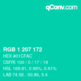 Color code: RGB 1 207 172 | qconv.com
