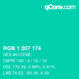 Color code: RGB 1 207 174 | qconv.com
