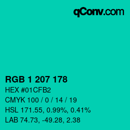 Color code: RGB 1 207 178 | qconv.com