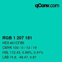 カラーコード: RGB 1 207 181 | qconv.com
