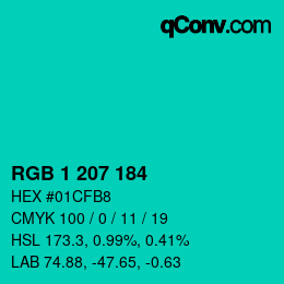 Color code: RGB 1 207 184 | qconv.com