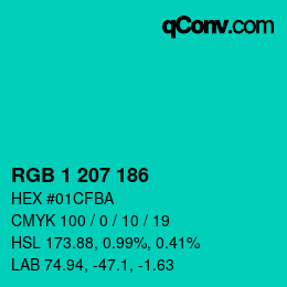 Color code: RGB 1 207 186 | qconv.com