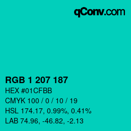 Color code: RGB 1 207 187 | qconv.com