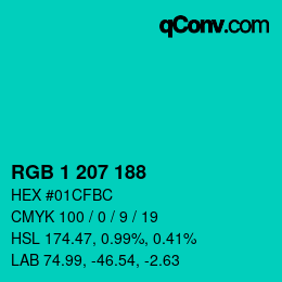 Color code: RGB 1 207 188 | qconv.com