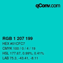 Color code: RGB 1 207 199 | qconv.com