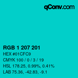 Color code: RGB 1 207 201 | qconv.com
