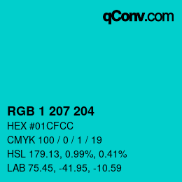 Color code: RGB 1 207 204 | qconv.com