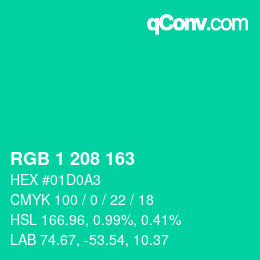 Color code: RGB 1 208 163 | qconv.com