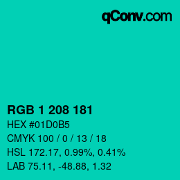 Color code: RGB 1 208 181 | qconv.com