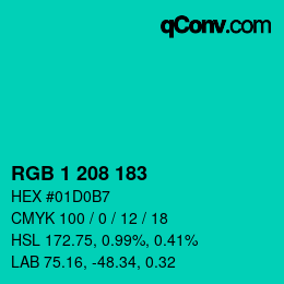 Color code: RGB 1 208 183 | qconv.com
