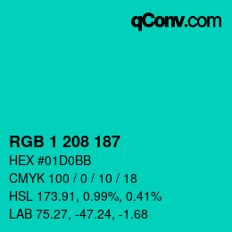 Color code: RGB 1 208 187 | qconv.com
